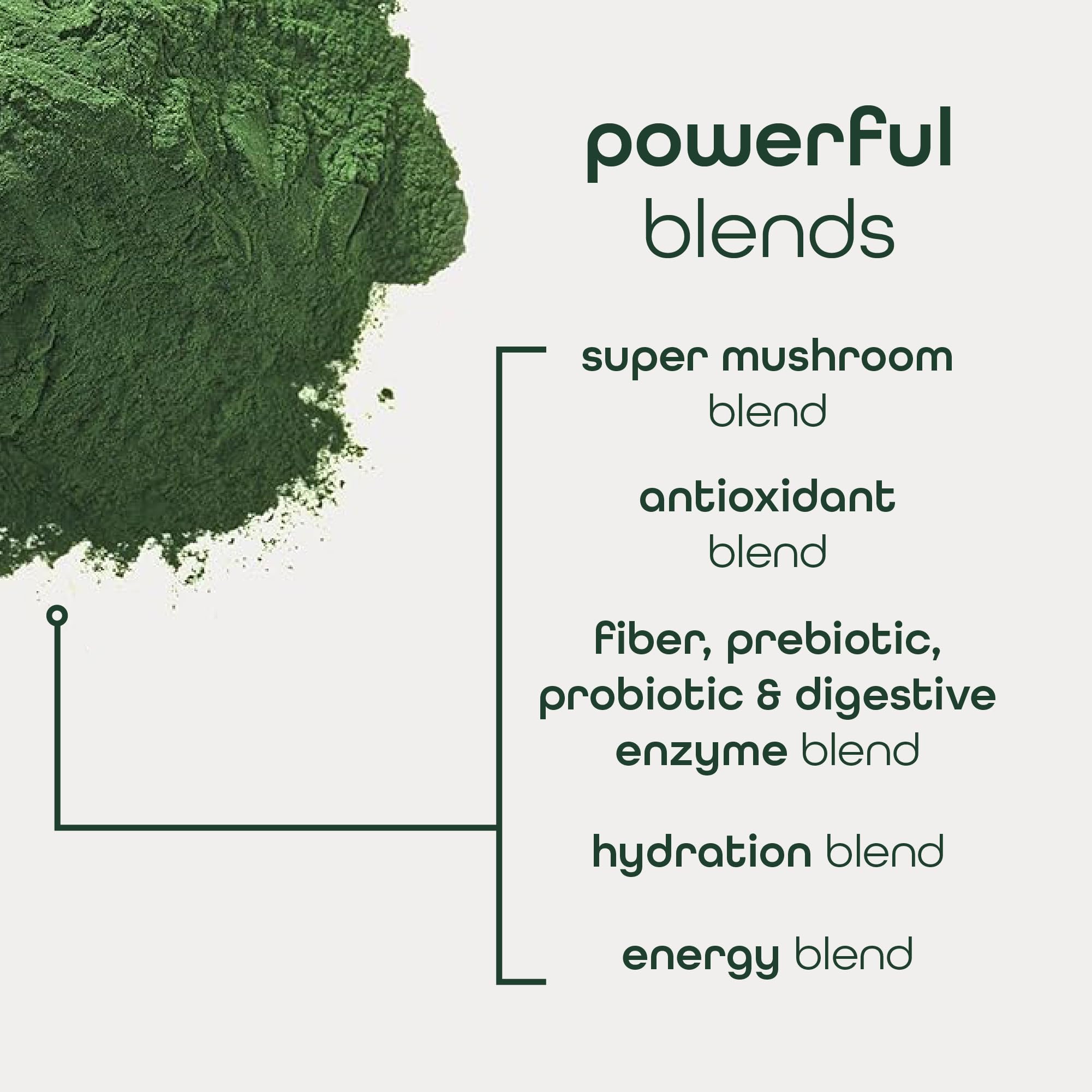 Zena Nutrition Organic Super Greens Energy & Hydration Powder, 70+ Superfoods, 0 Sugar, 5G Fiber, Spirulina, Chlorella, Prebiotics/Probiotics, Natural Caffeine + Electrolytes, 40 Drink Mix Packets - TrustMedUSA