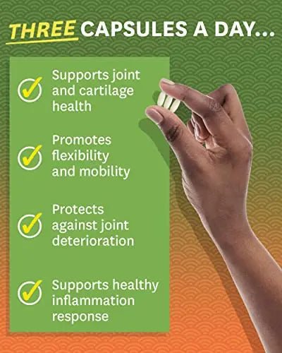 Zenwise Health Glucosamine Chondroitin MSM - Joint Support Supplement with Turmeric - TrustMedUSA