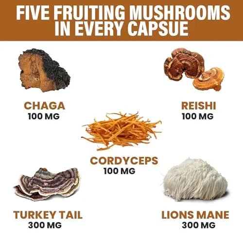 Zeus Naturals Lions Mane Capsules, Mushroom Supplement with Turkey Tail, Cordyceps - TrustMedUSA