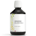 Zinzino - BalanceOil+ Vegan Lemon, Synergistic Blend with Marine Micro-Algae, Olive Oil, Ahiflower Seed Oil, Vegan Vitamin D3-300 ml - TrustMedUSA