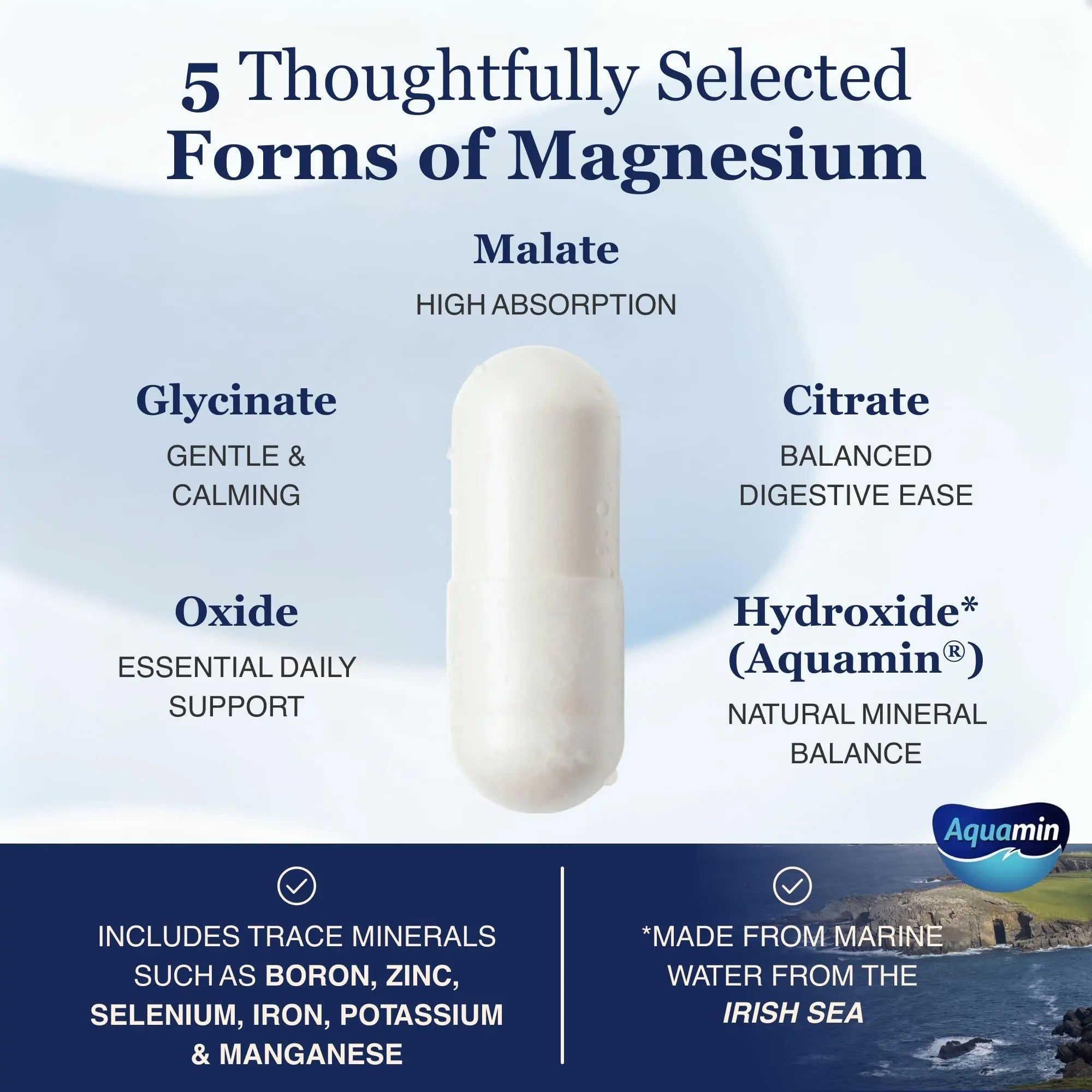 ZnS Health Spectrum 5 Magnesium Complex for Women & Men – 5 Magnesium Complex Supplement with Glycinate, Malate, Citrate & Hydroxide for Sleep, Muscle Recovery & Calm – 500mg Vegan – 60 Capsules - TrustMedUSA