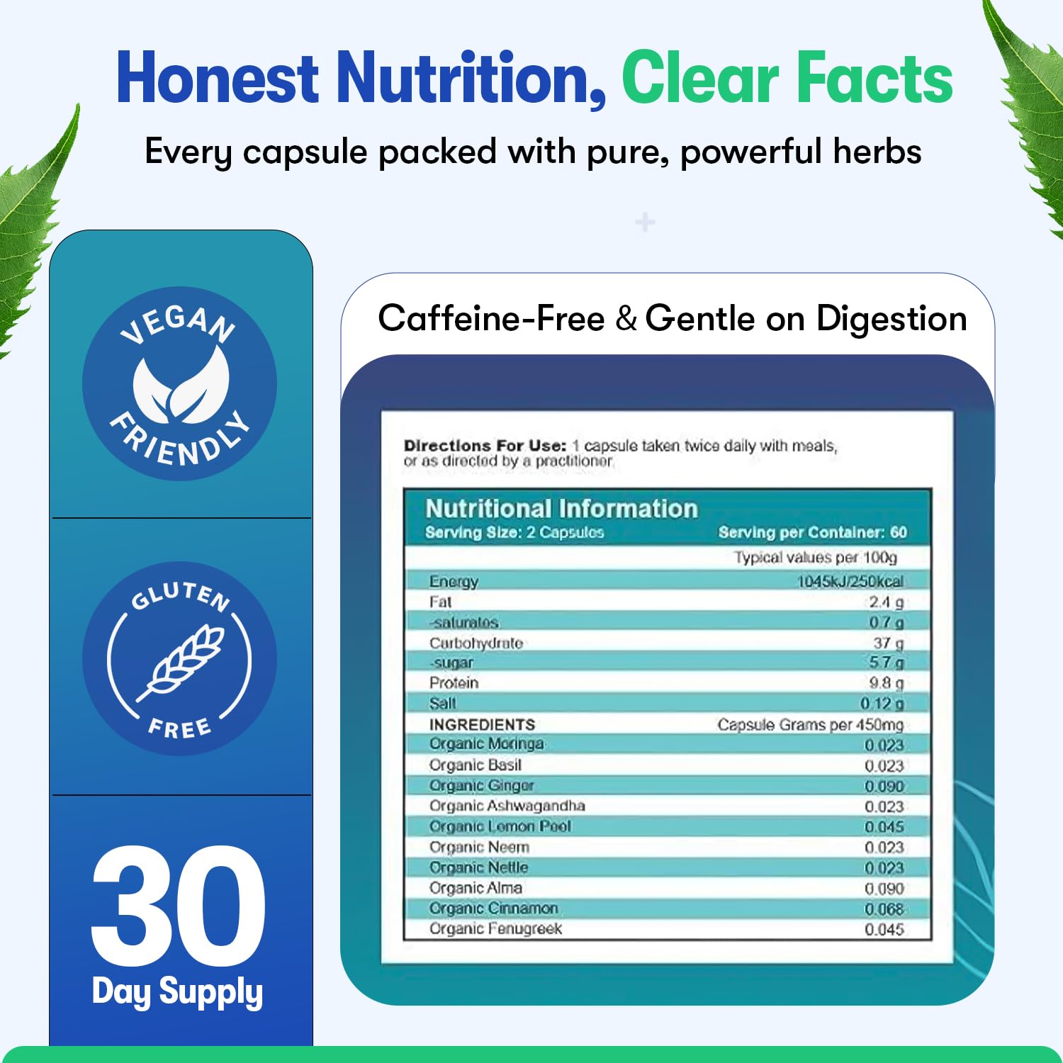 Zyzven Naturals Blood Sugar Support Supplement – 60 Vegan Capsules | Herbal Supplement with Moringa, Cinnamon, Ginger, Neem & Fenugreek | Plant-Based Wellness Supplement - Serving: 2 Capsules/Day - TrustMedUSA